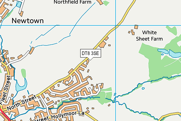 DT8 3SE map - OS VectorMap District (Ordnance Survey)