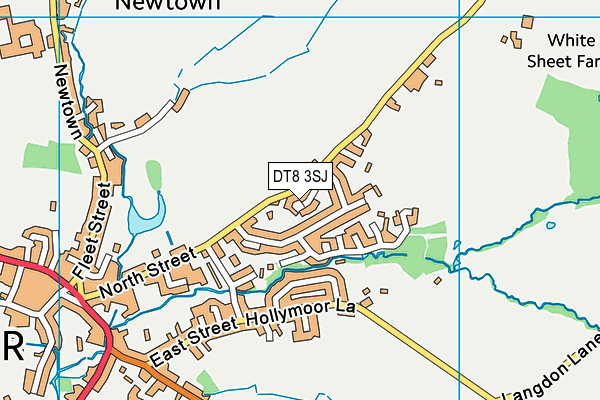 DT8 3SJ map - OS VectorMap District (Ordnance Survey)