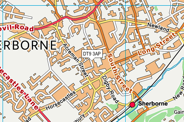 Sherborne School map (DT9 3AP) - OS VectorMap District (Ordnance Survey)