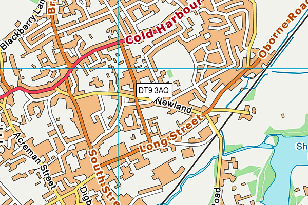 DT9 3AQ map - OS VectorMap District (Ordnance Survey)