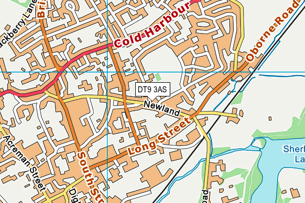 DT9 3AS map - OS VectorMap District (Ordnance Survey)