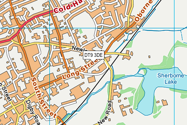 DT9 3DE map - OS VectorMap District (Ordnance Survey)