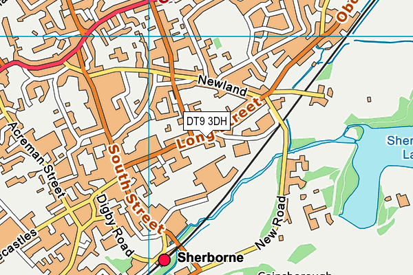 DT9 3DH map - OS VectorMap District (Ordnance Survey)