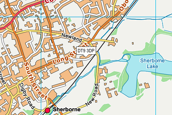 DT9 3DP map - OS VectorMap District (Ordnance Survey)