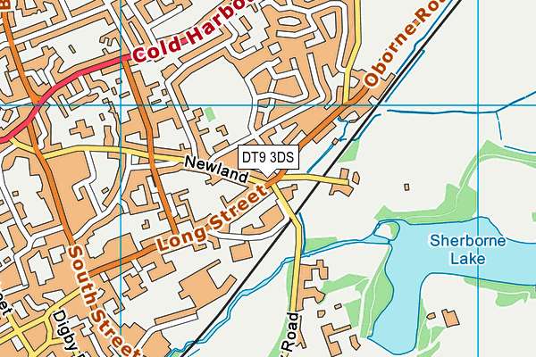 DT9 3DS map - OS VectorMap District (Ordnance Survey)