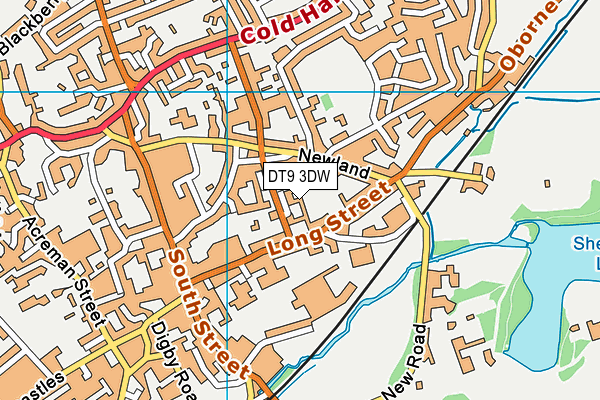 DT9 3DW map - OS VectorMap District (Ordnance Survey)