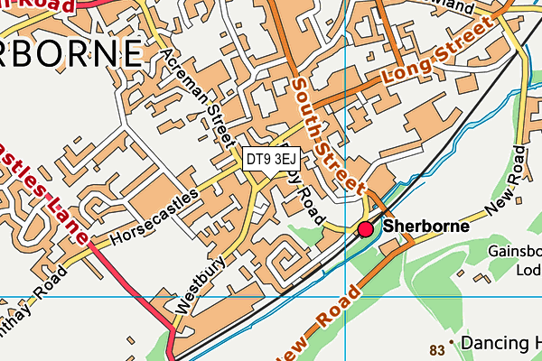 DT9 3EJ map - OS VectorMap District (Ordnance Survey)