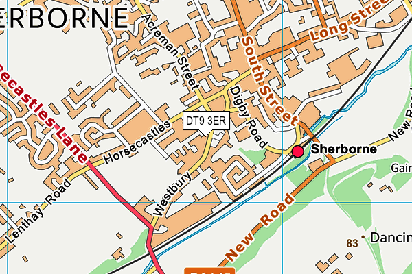 DT9 3ER map - OS VectorMap District (Ordnance Survey)