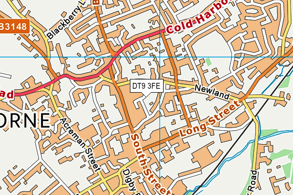 DT9 3FE map - OS VectorMap District (Ordnance Survey)