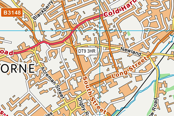 DT9 3HR map - OS VectorMap District (Ordnance Survey)