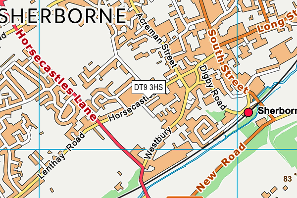 DT9 3HS map - OS VectorMap District (Ordnance Survey)