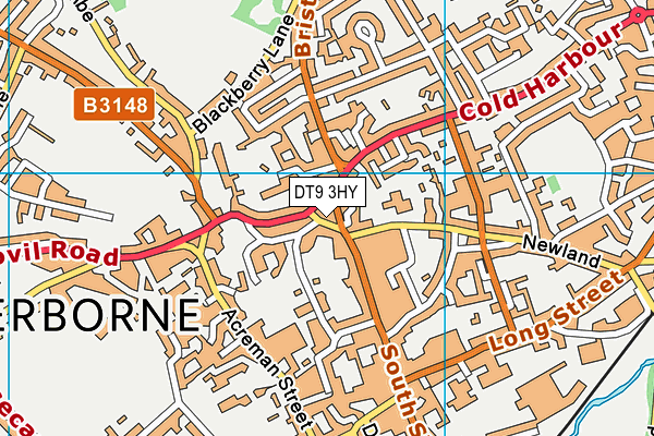 DT9 3HY map - OS VectorMap District (Ordnance Survey)