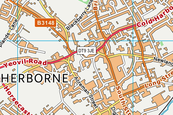 DT9 3JE map - OS VectorMap District (Ordnance Survey)