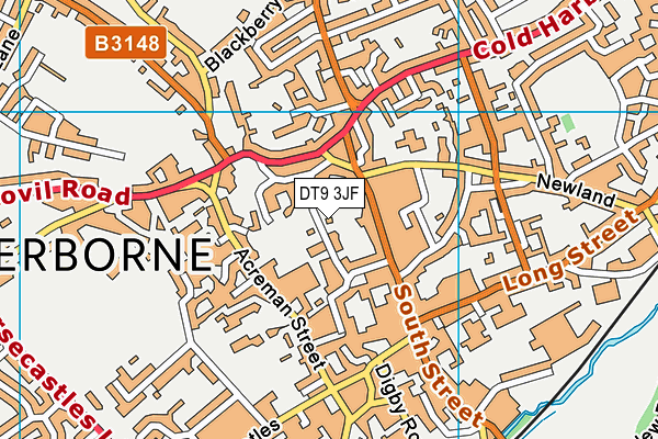 DT9 3JF map - OS VectorMap District (Ordnance Survey)