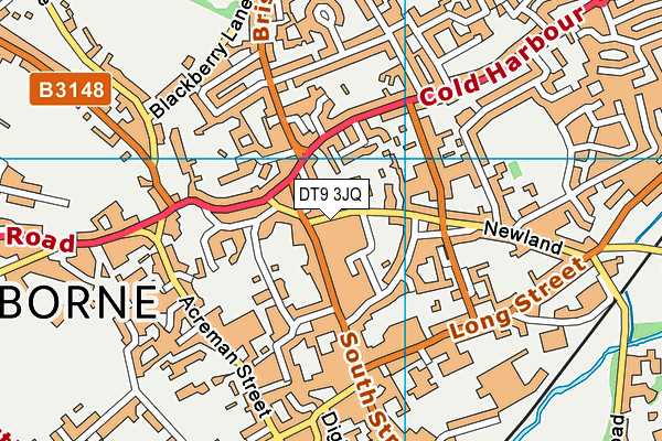 DT9 3JQ map - OS VectorMap District (Ordnance Survey)