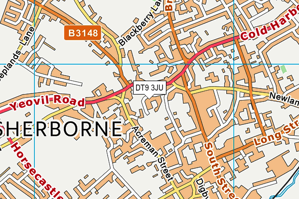 DT9 3JU map - OS VectorMap District (Ordnance Survey)