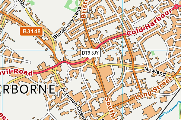 DT9 3JY map - OS VectorMap District (Ordnance Survey)