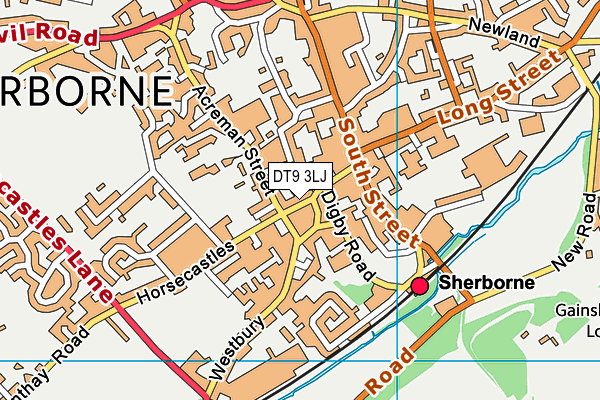 DT9 3LJ map - OS VectorMap District (Ordnance Survey)