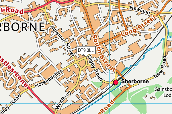 DT9 3LL map - OS VectorMap District (Ordnance Survey)