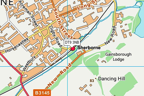 DT9 3NB map - OS VectorMap District (Ordnance Survey)