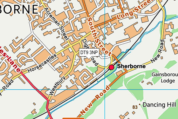 DT9 3NP map - OS VectorMap District (Ordnance Survey)