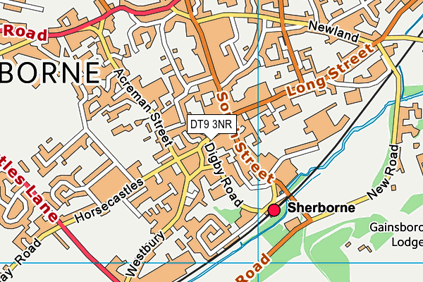 DT9 3NR map - OS VectorMap District (Ordnance Survey)