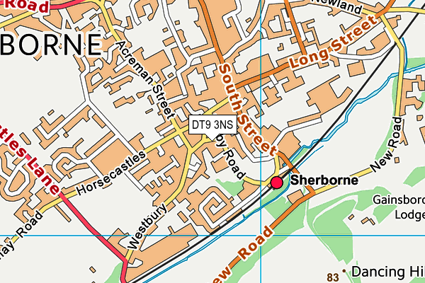 DT9 3NS map - OS VectorMap District (Ordnance Survey)