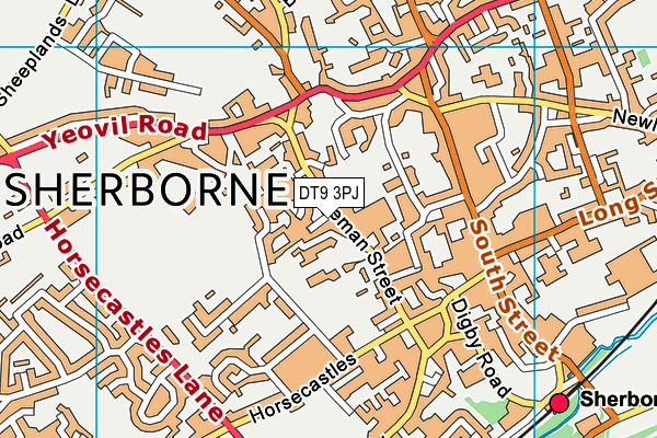 DT9 3PJ map - OS VectorMap District (Ordnance Survey)