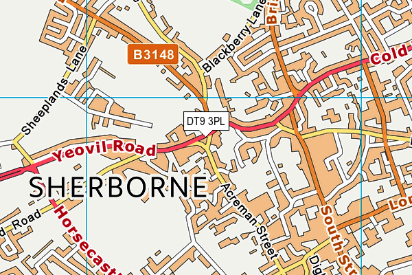 DT9 3PL map - OS VectorMap District (Ordnance Survey)