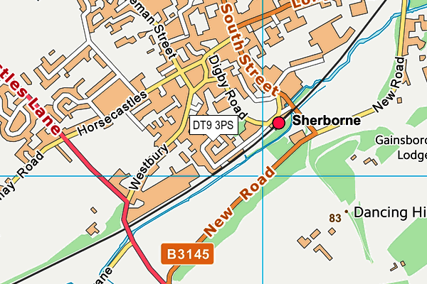 DT9 3PS map - OS VectorMap District (Ordnance Survey)