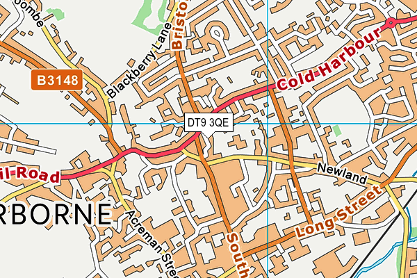 DT9 3QE map - OS VectorMap District (Ordnance Survey)