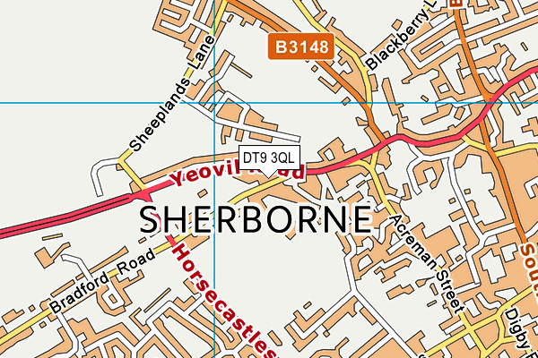 DT9 3QL map - OS VectorMap District (Ordnance Survey)