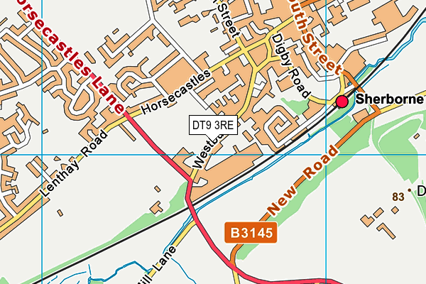 DT9 3RE map - OS VectorMap District (Ordnance Survey)