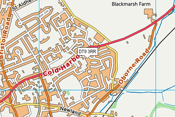 DT9 3RR map - OS VectorMap District (Ordnance Survey)