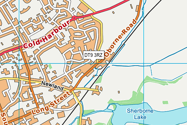 DT9 3RZ map - OS VectorMap District (Ordnance Survey)