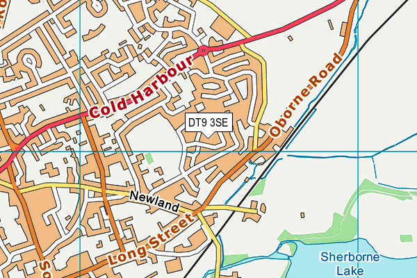 DT9 3SE map - OS VectorMap District (Ordnance Survey)