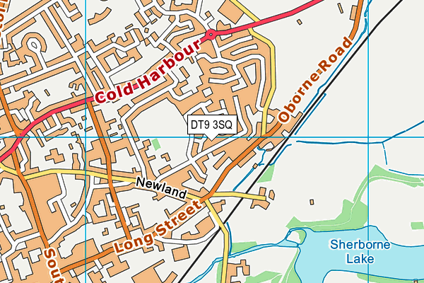 DT9 3SQ map - OS VectorMap District (Ordnance Survey)