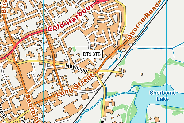 DT9 3TB map - OS VectorMap District (Ordnance Survey)