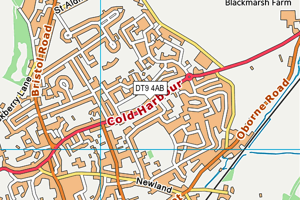 DT9 4AB map - OS VectorMap District (Ordnance Survey)