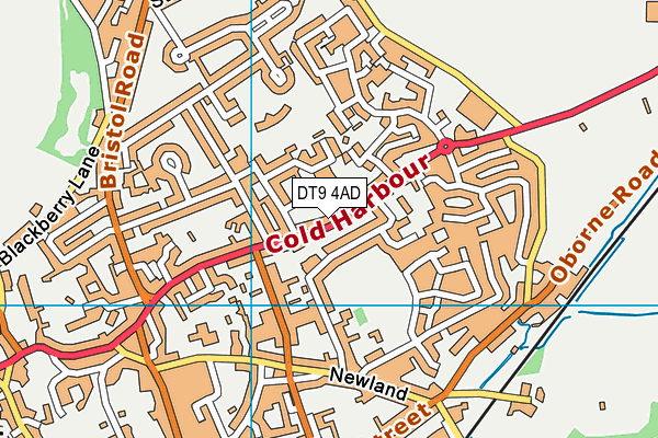 DT9 4AD map - OS VectorMap District (Ordnance Survey)