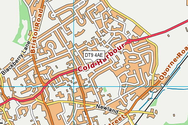 DT9 4AE map - OS VectorMap District (Ordnance Survey)