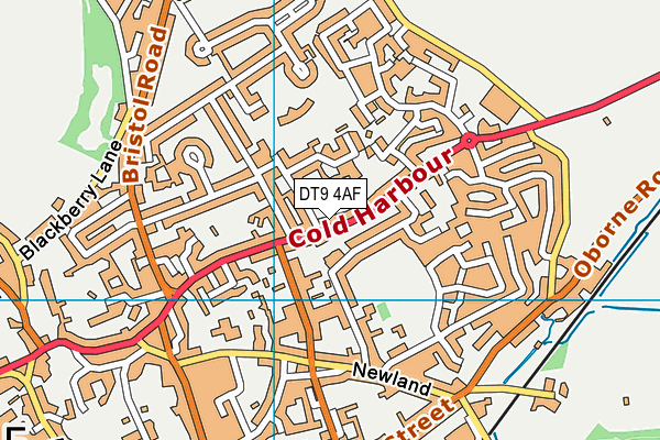 DT9 4AF map - OS VectorMap District (Ordnance Survey)