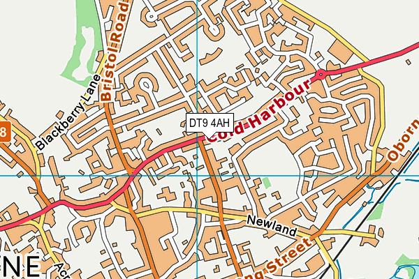 DT9 4AH map - OS VectorMap District (Ordnance Survey)