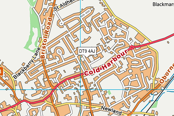 Sherborne Primary School map (DT9 4AJ) - OS VectorMap District (Ordnance Survey)