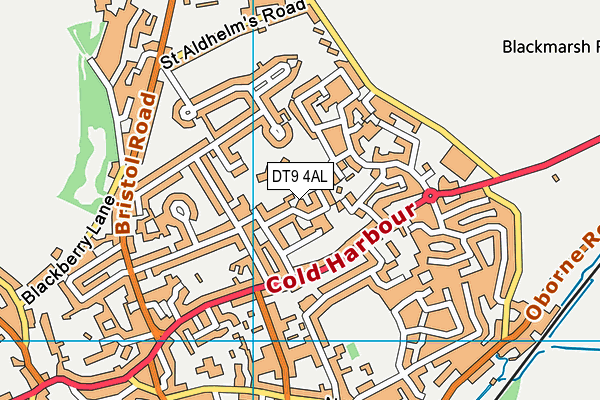 DT9 4AL map - OS VectorMap District (Ordnance Survey)