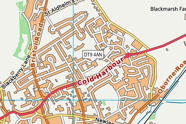 DT9 4AN map - OS VectorMap District (Ordnance Survey)