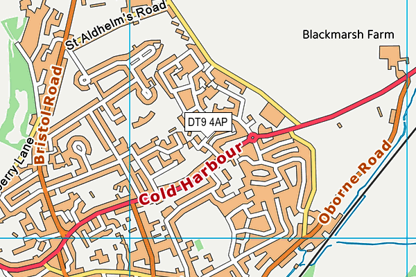 DT9 4AP map - OS VectorMap District (Ordnance Survey)
