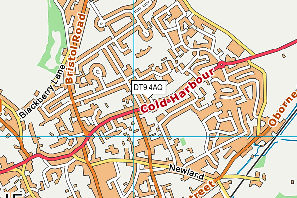 DT9 4AQ map - OS VectorMap District (Ordnance Survey)