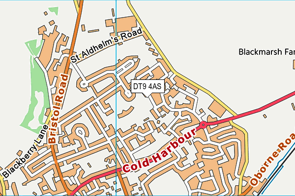 DT9 4AS map - OS VectorMap District (Ordnance Survey)