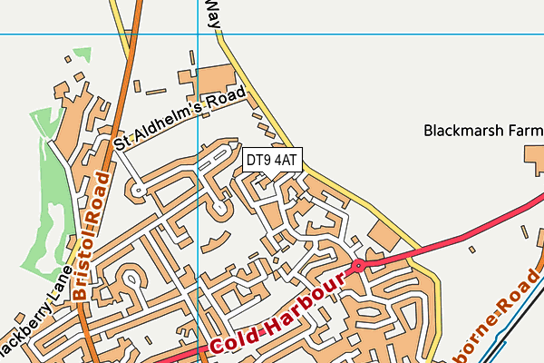 DT9 4AT map - OS VectorMap District (Ordnance Survey)